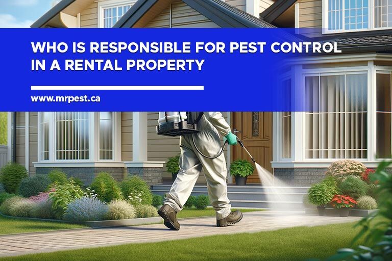 Who is Responsible for Pest Control in a Rental Property